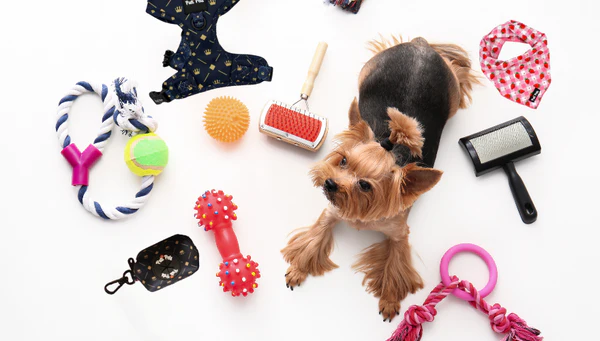 Pets accessories